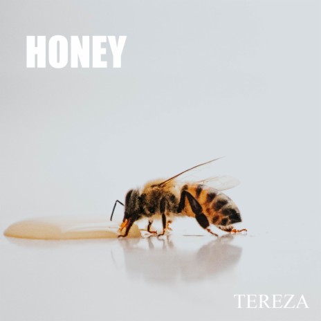 Honey (Acoustic) | Boomplay Music