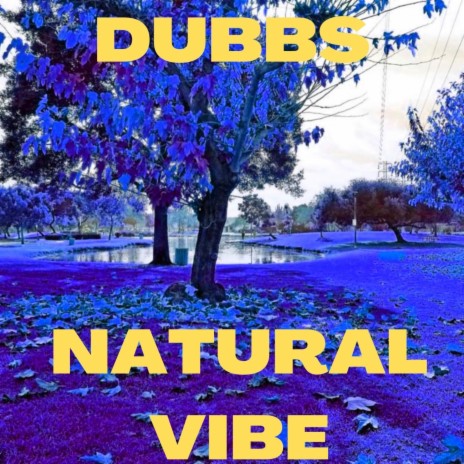 Natural Vibe