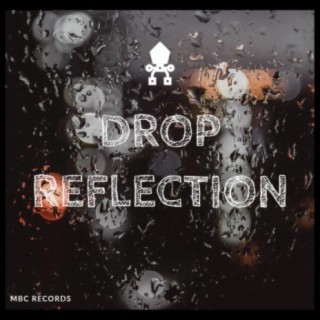 Drop Reflection