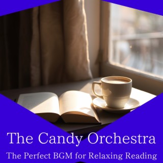 The Perfect Bgm for Relaxing Reading