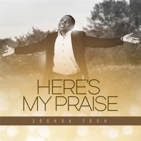 Here's My Praise | Boomplay Music