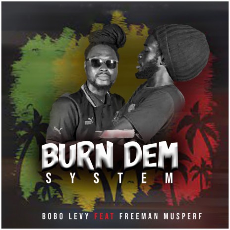 Burn dem system | Boomplay Music