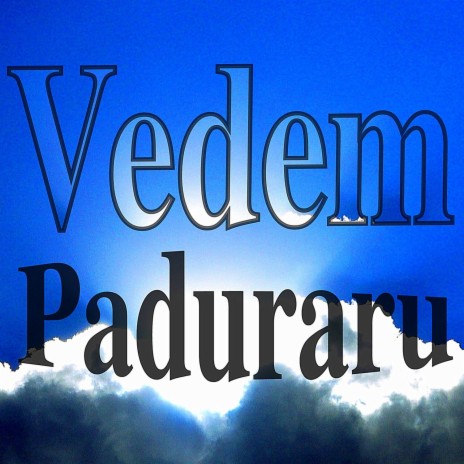 Vedem (Festival Music) | Boomplay Music