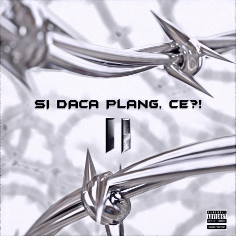 Si Daca Plang, Ce?!, Pt. 2 | Boomplay Music