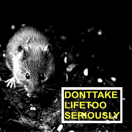 Donttakelifetooseriously | Boomplay Music