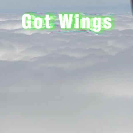 Got Wings | Boomplay Music