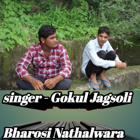 Rajgarh meena geet (Gokul Jagsoli) | Boomplay Music