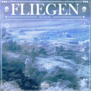 Fliegen