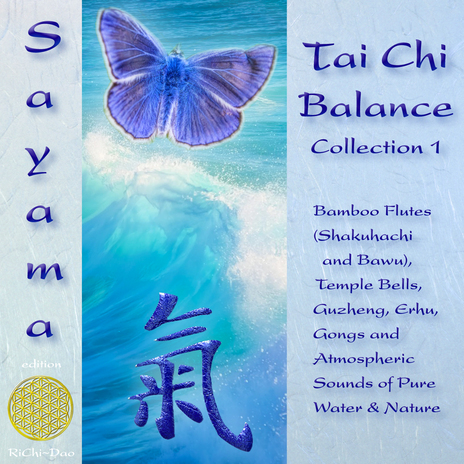 Tai Chi Balance 1 (Bamboo Flutes, Guzheng, Temple Bells, Erhu & Nature Sounds) | Boomplay Music