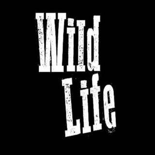 Wild Life