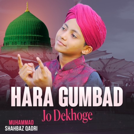 Hara Gumbad Jo Dekhoge | Boomplay Music