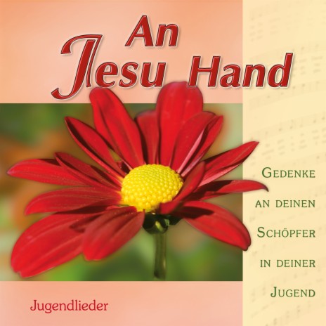 Gnade die Jesus uns zugewandt | Boomplay Music