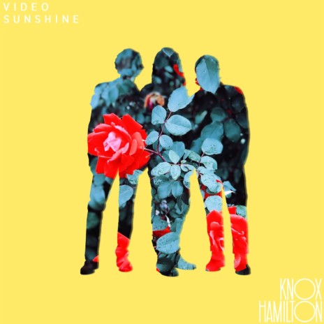 Video Sunshine | Boomplay Music