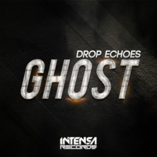 Drop Echoes