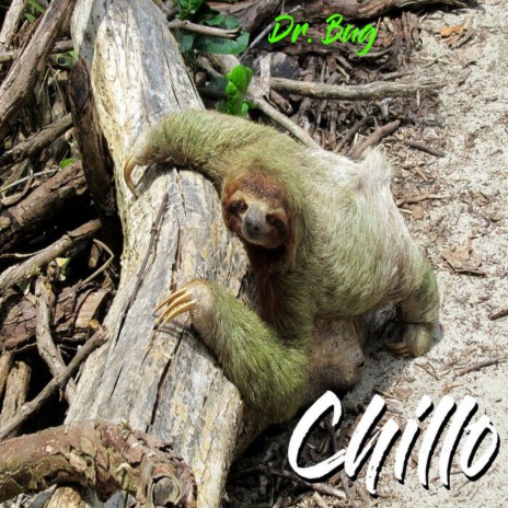 Chillo | Boomplay Music