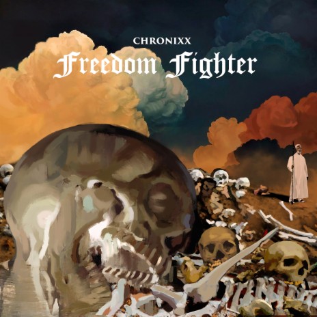Freedom Fighter | Boomplay Music