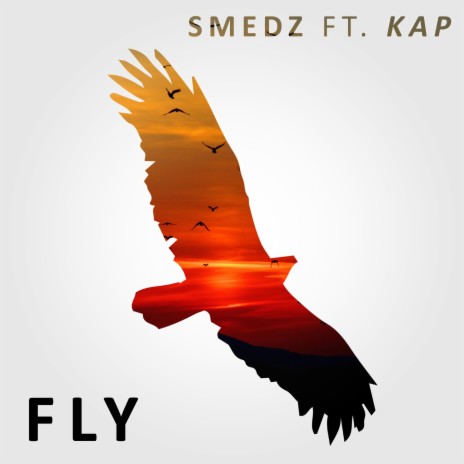 Fly ft. Kap | Boomplay Music