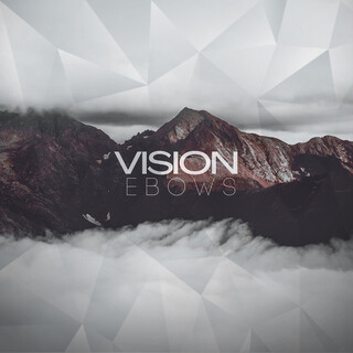 Vision