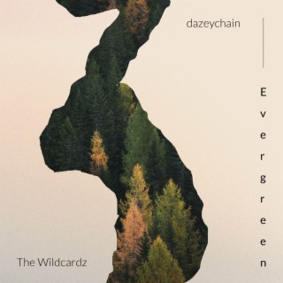 Evergreen ft. The Wildcardz lyrics | Boomplay Music