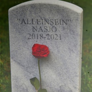 Alleinsein