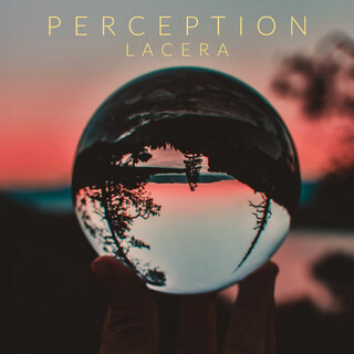 Perception