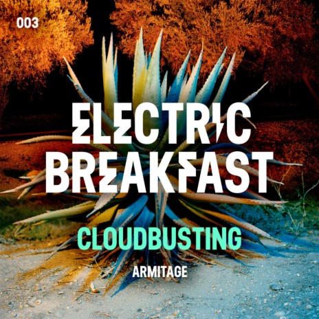 Cloudbusting | Boomplay Music