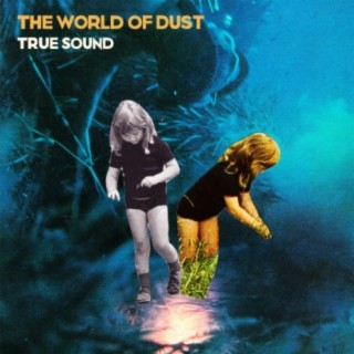 The World of Dust