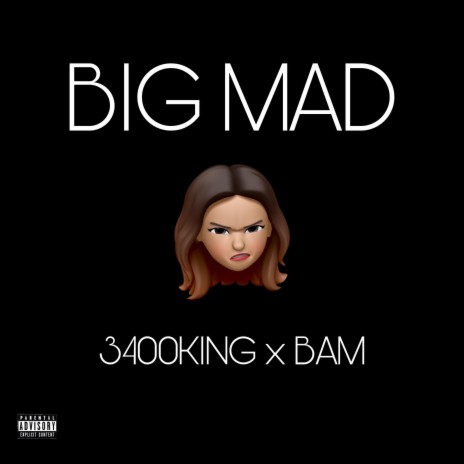 BIG MAD ft. GME BO$$ MAINE | Boomplay Music