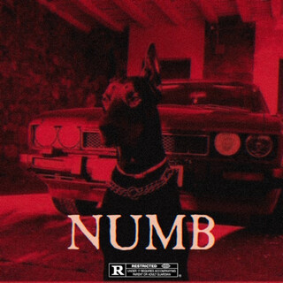 Numb