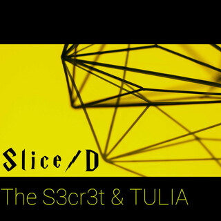 Slice/D