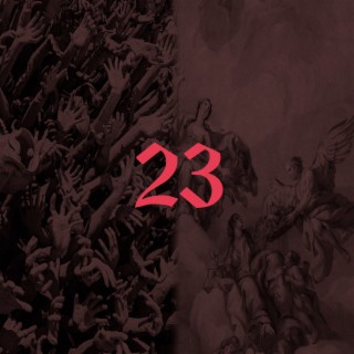 23