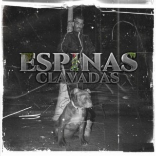 Espinas clavadas