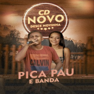 Pica Pau e Banda