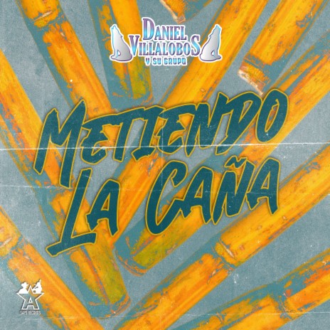 Metiendo la Caña | Boomplay Music