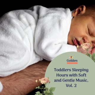 Toddlers Sleeping Hours with Soft and Gentle Music, Vol. 2