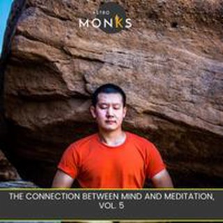 The Connection Between Mind and Meditation, Vol. 5