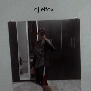 DJ_ELFOX