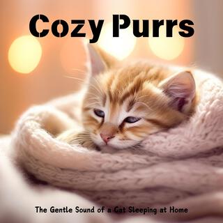 Cozy Purrs: The Gentle Sound of a Cat Sleeping at Home