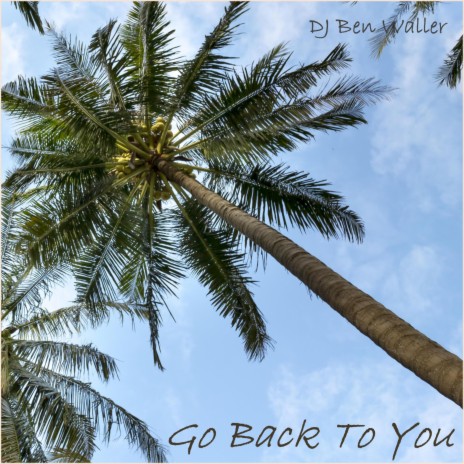 Go Back To You | Boomplay Music