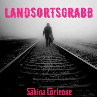 Landsortsgrabb