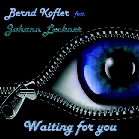 Waiting for you ft. Johann Lechner | Boomplay Music