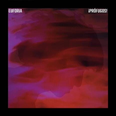 Euforia | Boomplay Music