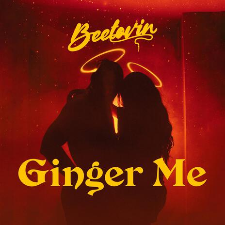 Ginger me | Boomplay Music