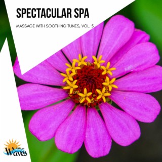 Spectacular Spa - Massage with Soothing Tunes, Vol. 5
