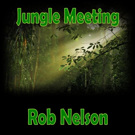 Jungle Meeting | Boomplay Music