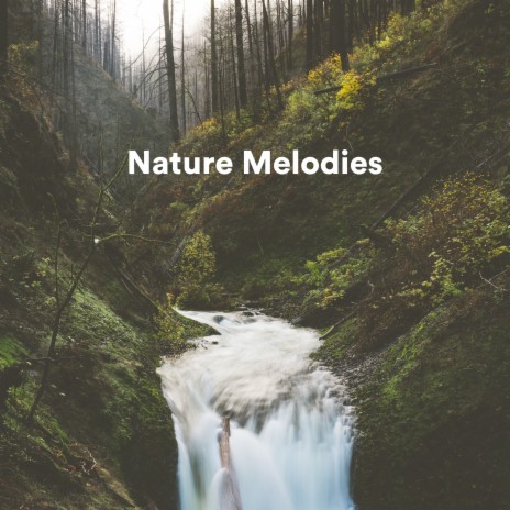 Underwater Rain ft. La Naturaleza del Sueño & Nature Recordings