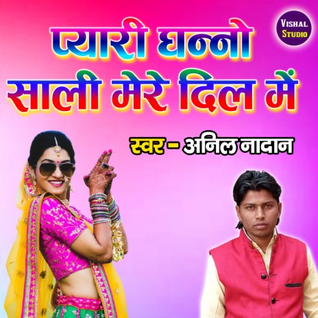 Pyari Dhanno Sali | Boomplay Music