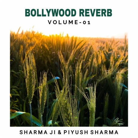 Hooka Bar (Slowed + Reverb) ft. Piyush Kumar | Boomplay Music