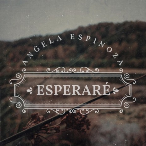 Esperaré | Boomplay Music