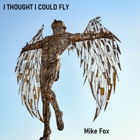 I Thought I Could Fly | Boomplay Music